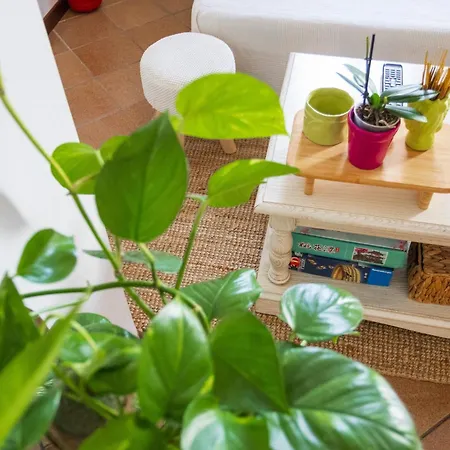 Holiday home Bloom And Wood - A Zen Retreat At Emily