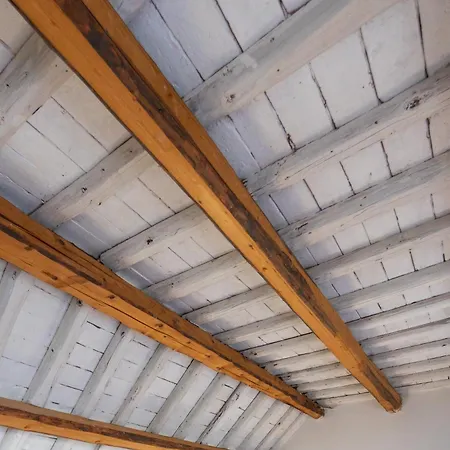 Bloom And Wood - A Zen Retreat At Emily