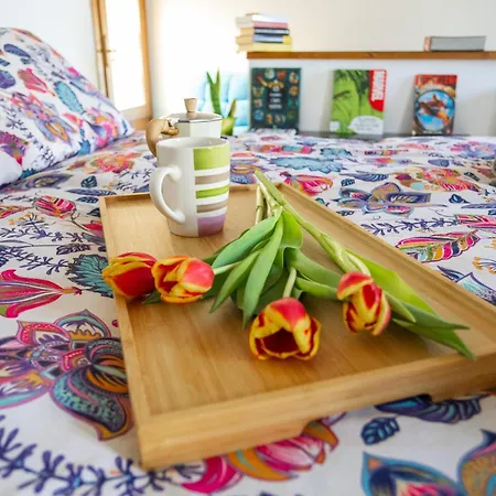 Bloom And Wood - A Zen Retreat At Emily Holiday home